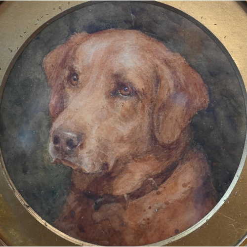 698 - Florence Jay (fl 1905-1920) - A trio of watercolour studies of labradors, 14.5 cm diam (3)