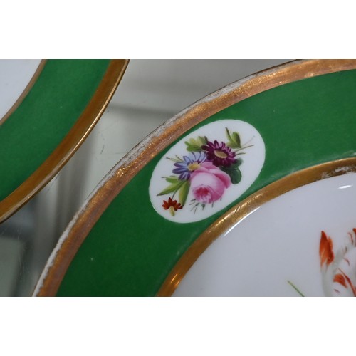 599 - A set of twelve 19th century Continental porcelain cabinet plates individually painted with floral s... 