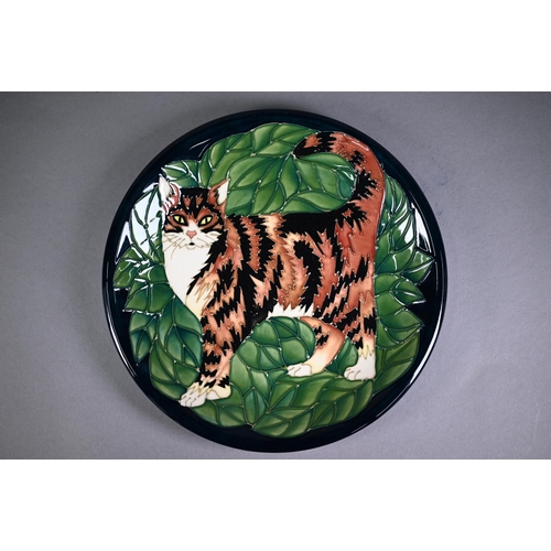 144 - Moorcroft ltd ed plate painted with cat, no 198/300, 26 cm to/w another plate decorated with 'Mamour... 