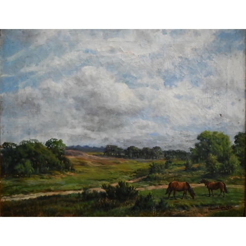 305 - Edward John Hoy - New Forest landscape, oil on canvas, signed and dated 1944 lower right, 40 x 50 cm