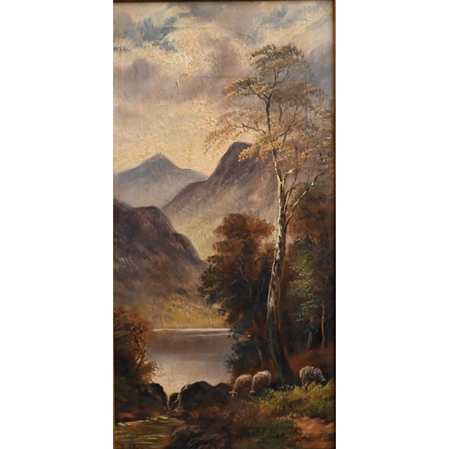 309 - F Allen - Pair of lakeland views with sheep, oil on canvas, signed, 40 x 19 cm (2)