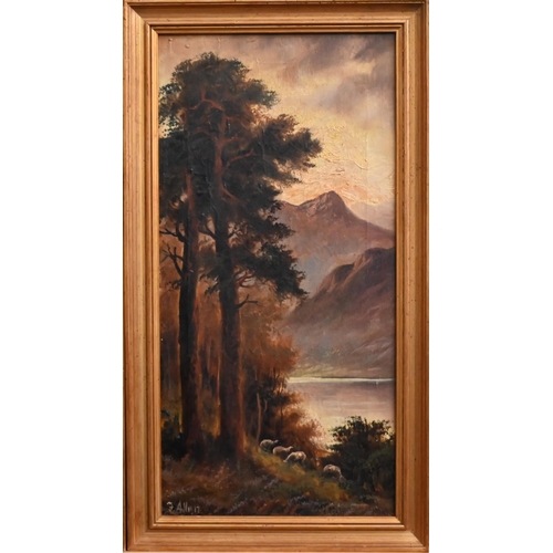 309 - F Allen - Pair of lakeland views with sheep, oil on canvas, signed, 40 x 19 cm (2)