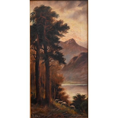 309 - F Allen - Pair of lakeland views with sheep, oil on canvas, signed, 40 x 19 cm (2)