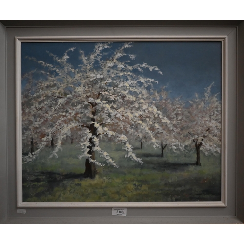 316 - Fred Cook - 'Cherry Orchard', oil on board, signed, 41 x 52 cm to/w V Campbell - Still life with flo... 