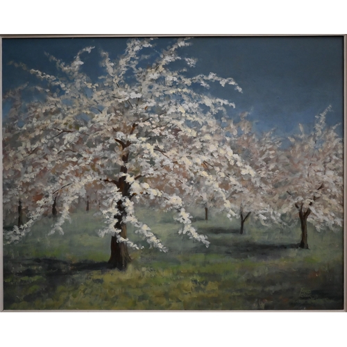 316 - Fred Cook - 'Cherry Orchard', oil on board, signed, 41 x 52 cm to/w V Campbell - Still life with flo... 