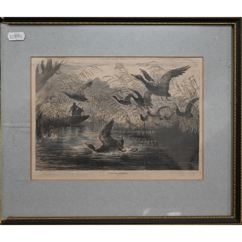 321 - #Three prints - Alton from the North West and two Wild Fowl Shooting pictures (3)