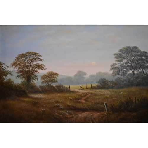 340 - Reg Brown - A summer meadow, oil on canvas, signed, 49 x 75 cm to/w Lesley Hammett - Landscape, oil ... 