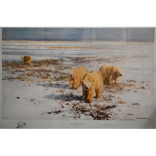 344 - After David Shepherd - 'Lone Wanderers of the Arctic', limited edition print numbered 431/1500, 49 x... 