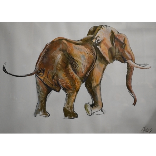 346 - Maberly - Study of an elephant, chalk pastel, signed, 51 x 68 cm