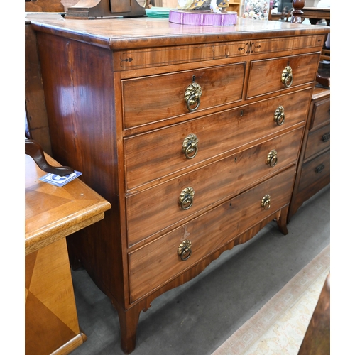 414 - A 19th century mahogany chest of two short over three long drawers with brass handles raised on spla... 