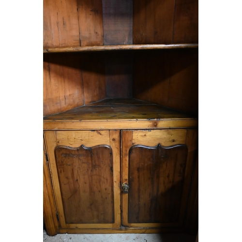 43 - An antique full height pine kitchen larder corner cabinet, with a pair of perforated panelled doors ... 