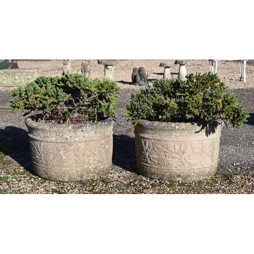 12 - A pair of weathered cast stone planters c/w plants (2)