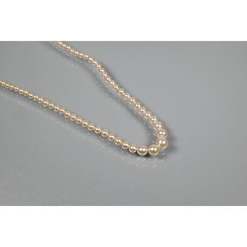 313 - An antique row of graduated pearls, possibly natural but untested, threaded onto rose gold cylinder ... 