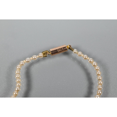 313 - An antique row of graduated pearls, possibly natural but untested, threaded onto rose gold cylinder ... 