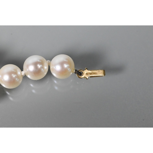 333 - WITHDRAWN A single row of uniform cultured pearls, with concealed pearl snap with 18ct yellow gold f... 