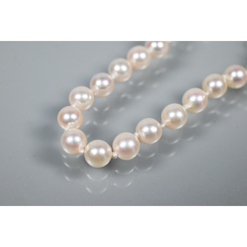 337 - WITHDRAWN A cultured pearl bracelet, the uniform pearls double knotted throughout onto yellow metal ... 