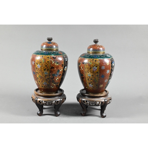 530 - A pair of late 19th or early 20th century Japanese cloisonne ovoid vases with domed covers and chrys... 