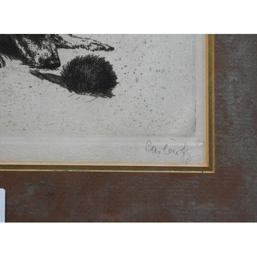 738 - A drypoint etching of a Jack Russell tormenting a hedgehog, pencil signed to lower margin, 20 x 25.5... 