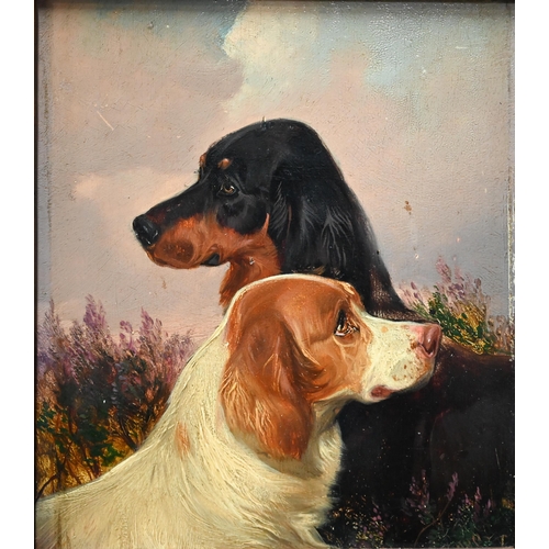 English school - Study of two of spaniels, oil on board, indistinctly signed, 17 x 15 cm and 19 x 14 cm