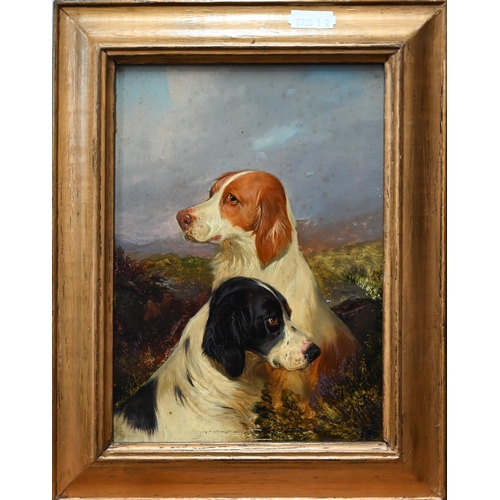 780 - English school - Study of two spaniels, oil on board, 19 x 14 cm