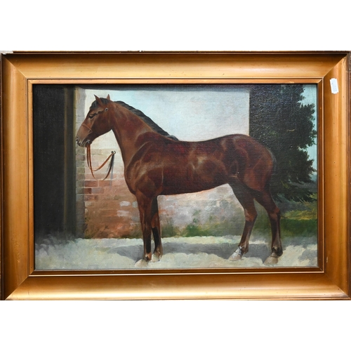 782 - Manner of Herring - Study of a chestnut horse before a stable, oil on canvas, 29 x 44 cm