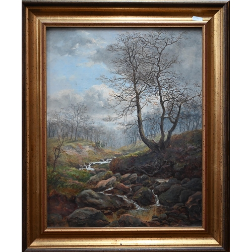 801 - G Hatterley - Autumnal landscape with tree and tumbling stream, oil on canvas, signed lower left, 45... 