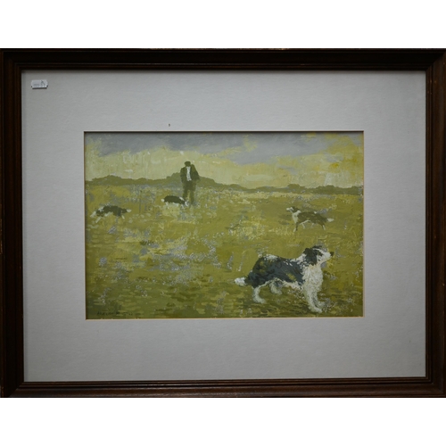 803 - Aneurin M Jones (1930-2017) - 'Shepherd and his dogs', acrylic, signed lower left and inscribed vers... 