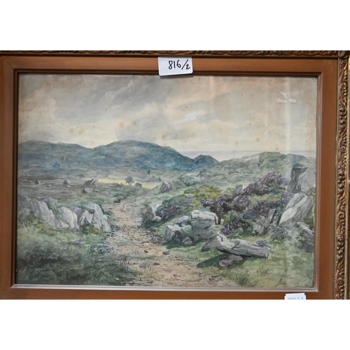 816 - James Faed (1821-1911) - A pair of Scottish landscapes of Kirkcudbrightshire - 'The Old Drove road f... 