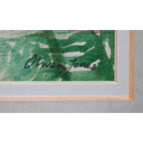 842 - Olwen Jones RWS, RE (b.1945) - 'Fern House, Botanical Gardens, Cambridge', watercolour, signed, prov... 