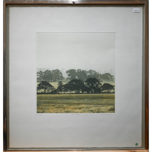 851 - Phil Greenwood RE (b. 1943) - 'Dawn Mist', colour etching, artist's proof, 1981, 29 x 29 cm