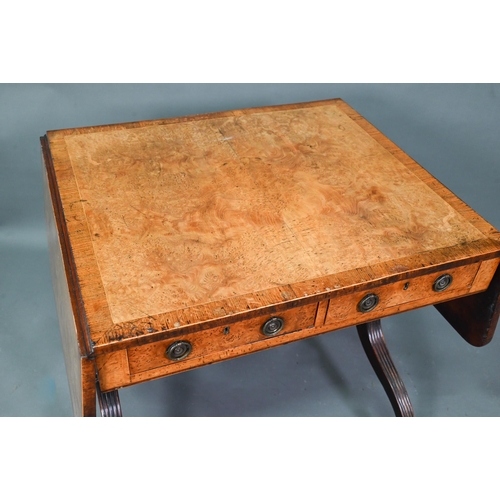 978 - A Regency cross-banded burr walnut sofa table, with two frieze drawers opposing dummy drawer fronts,... 