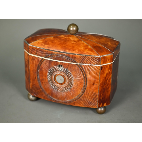 A Georgian tortoiseshell and ivory strung tea caddy, with twin lidded canister tops to the interior, raised on brass ball feet, 17 cm x 10.5 cm x 15 cm h o/all