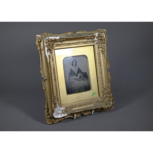 1136 - A 19th century Ambrotype photograph of a young lady, in gilt frame