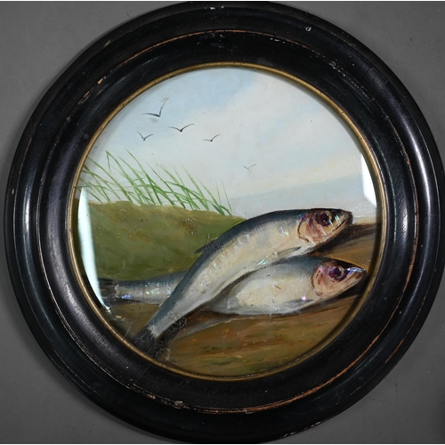 1145 - A 19th century reverse-painted on glass picture of two fish on a river-bank, 18 cm diameter in eboni... 