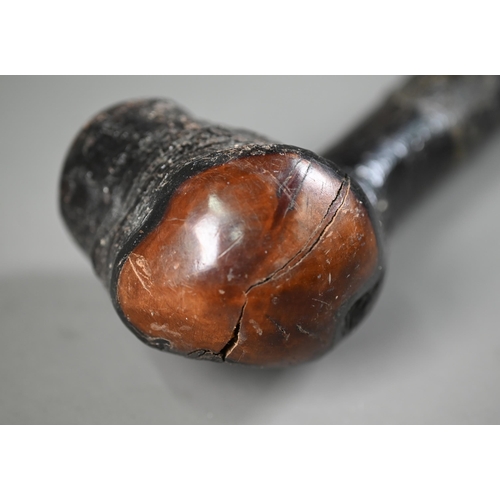 1282 - An Irish fumed-wood shillelagh, 48 cm