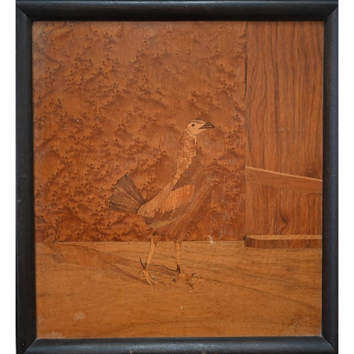 1206 - A pair of marquetry panels depicting fighting-cocks, 37 x 34 cm, in moulded frames (2)