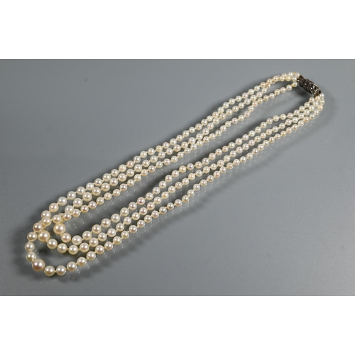 492 - A triple graduated row of cultured pearls by Lotus, double knotted throughout onto white metal snap,... 