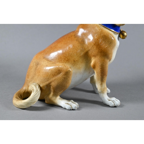 633 - A 19th century Vienna porcelain seated pug, 21 cm high