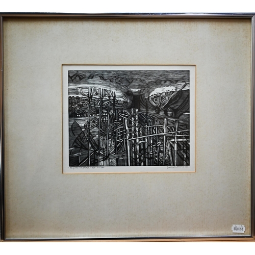 720 - Garrick Palmer (b 1933) - 'Forgotten Landscape', wood engraving print, artist proof 2nd ed, signed a... 