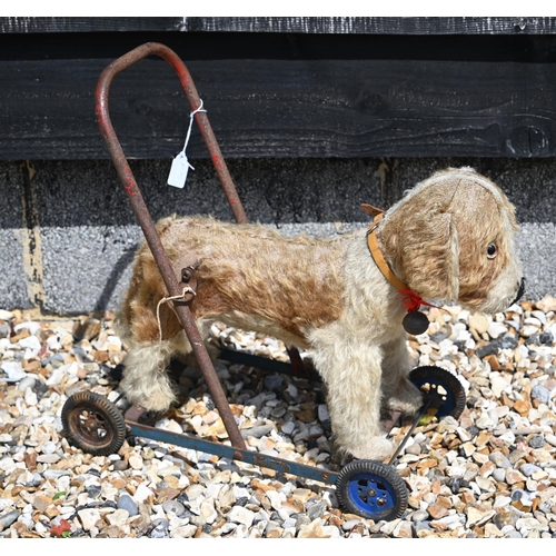A Vintage 1930's First Generation Merrythought push along dog or trolley walker, the tan and cream mohair terrier with original stitched 'Merrythought Hygienic Toys' label to underside of tummy, mounted on a blue and red painted metal frame with remnants of 'Merrythought' and 'Pat 410823' labels, four Meccano (possibly replacements) wheels, 44 cm w x 42 cm h x 20 cm d