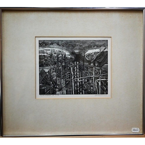 670 - Garrick Palmer (b 1933) - 'Forgotten Landscape', wood engraving print, artist proof 2nd ed, signed a... 