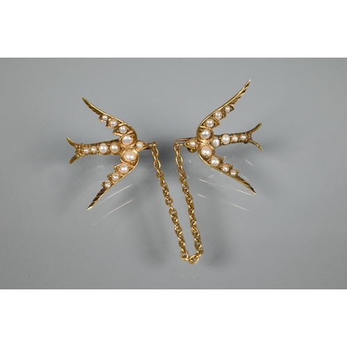 204 - Two seed pearl set brooches modelled as swallows in flight, linked with chain, yellow metal set; a s... 