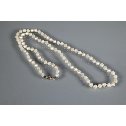 256 - A single row of uniform cultured pearls double knotted throughout on to white metal clasp, 26 cm lon... 