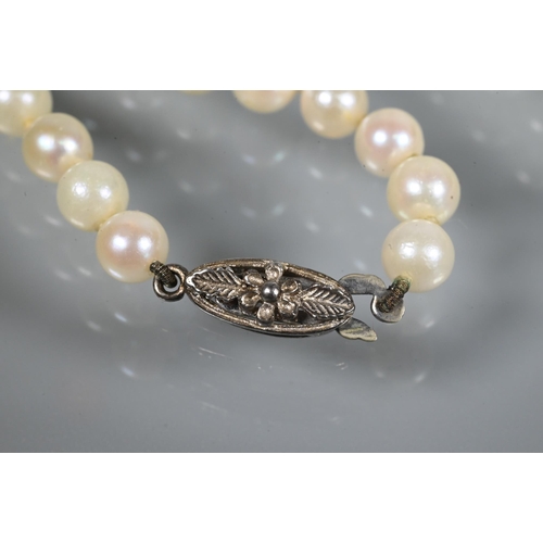 256 - A single row of uniform cultured pearls double knotted throughout on to white metal clasp, 26 cm lon... 