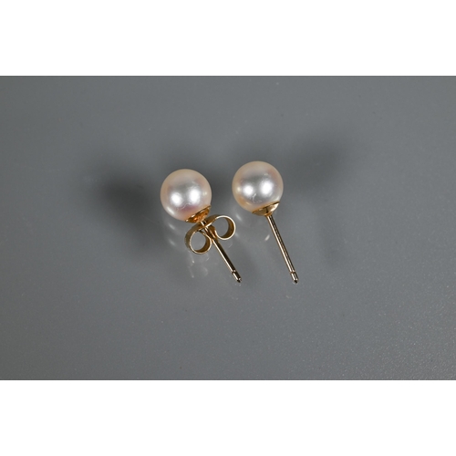 265 - A single row of round uniform cultured pearls knotted throughout onto oval yellow metal bead snap, s... 