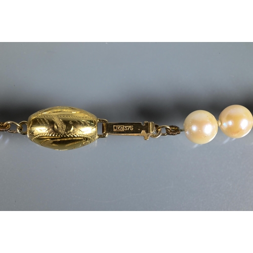 265 - A single row of round uniform cultured pearls knotted throughout onto oval yellow metal bead snap, s... 