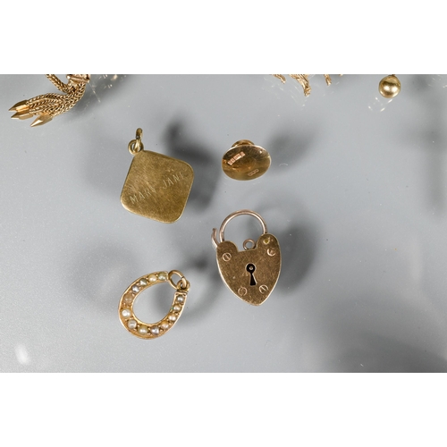 269 - A quantity of 9ct yellow gold including horseshoe brooch, curb bracelet with padlock attached, penda... 