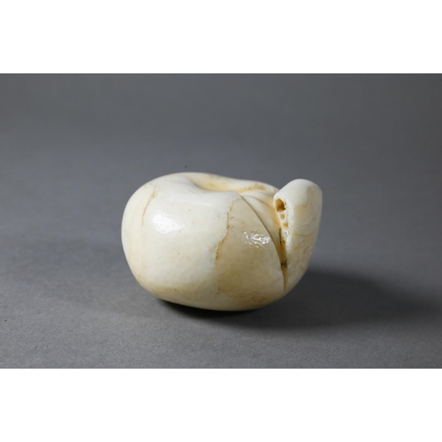 486 - AMENDMENT - A 19th century Japanese marine ivory okimono/netsuke naturalistically carved as a satsum... 