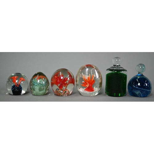 561 - Various paperweights including three Caithness weights and a Selkirk weight, floral specimens etc (b... 