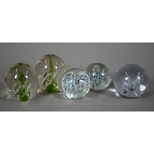 561 - Various paperweights including three Caithness weights and a Selkirk weight, floral specimens etc (b... 